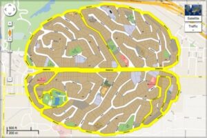 brainmap07-460x307_thumb